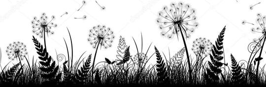 dandelions :D